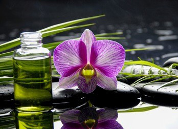 今天,深圳上门按摩服务你约了吗?