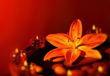 体验深圳spa服务需要注意哪些方面?